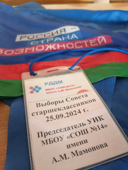 Выборы.